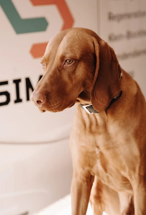 Anlagenmechaniker SHK